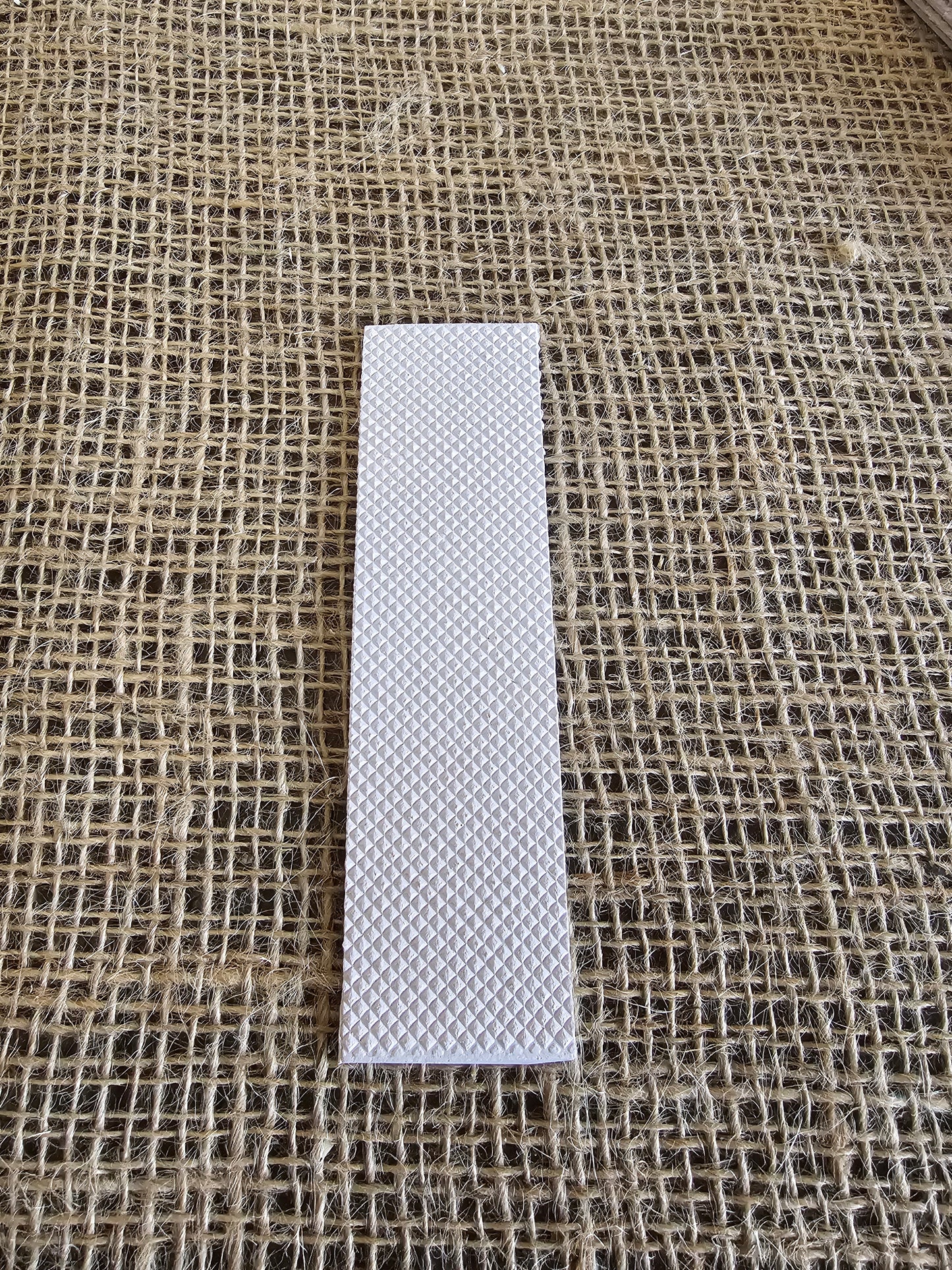 Toe Guard Pack of 10