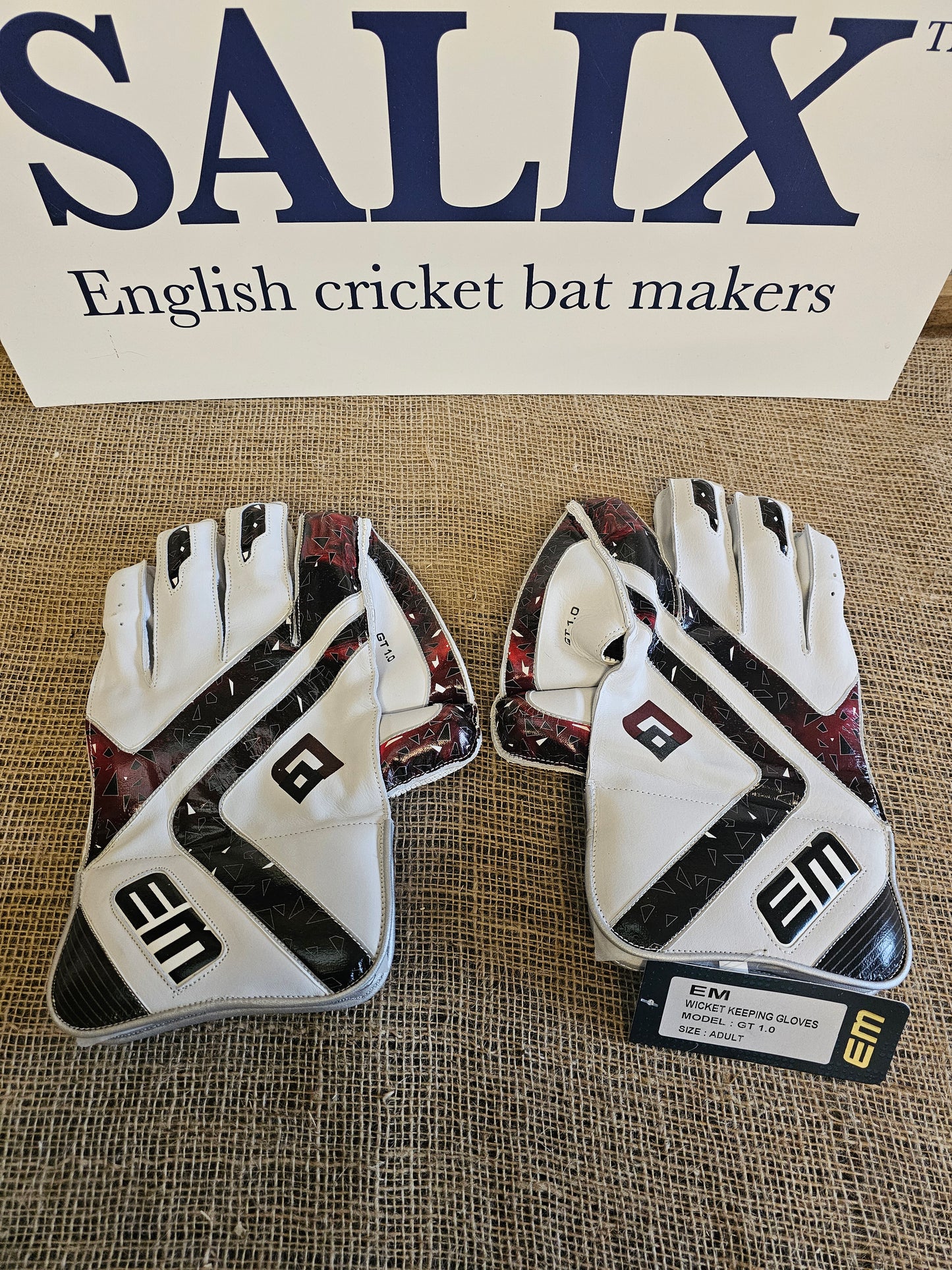 EM Wicket Keeping Gloves - GT 1.0 Adult