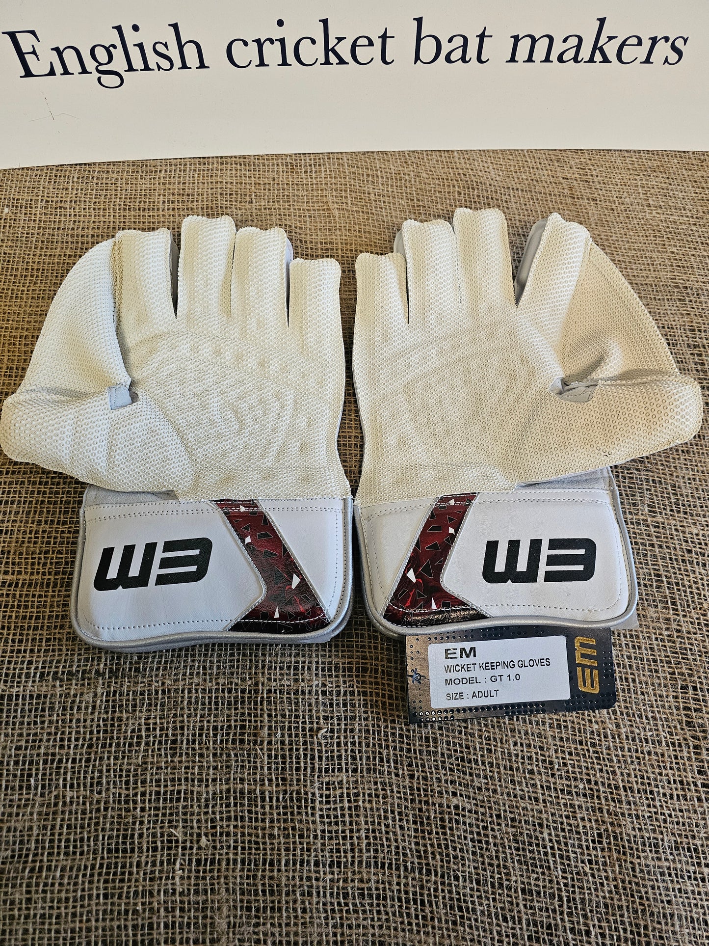 EM Wicket Keeping Gloves - GT 1.0 Adult