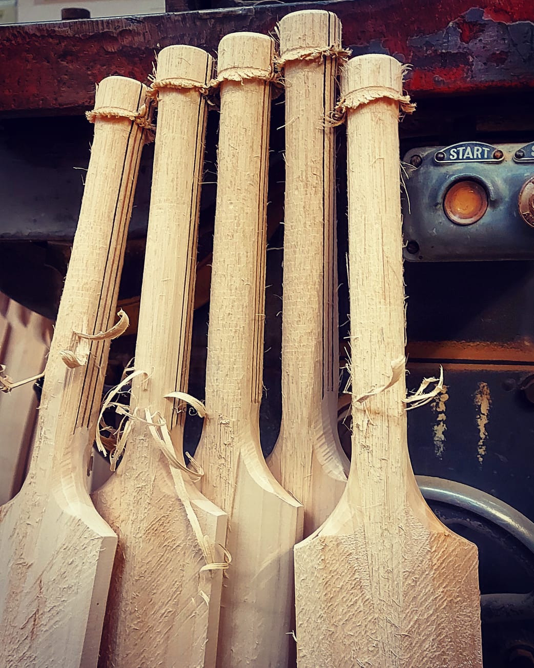 The Secret Behind English Willow