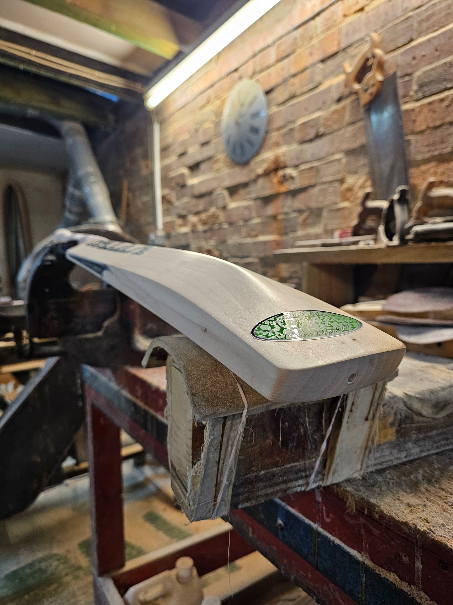 Salix AJK - Weight Range 1lb 15 Ounces, Size 5