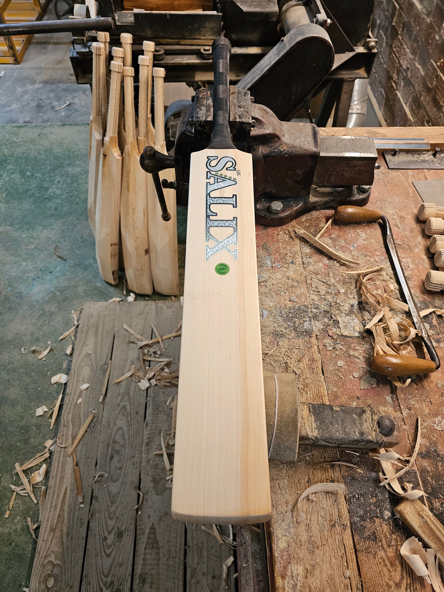 Salix AJK - Alba, 2lb 7.8oz, SH