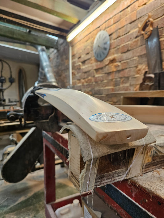 Salix AIR - Select Grade, Weight Range 2lb 3 Ounces, Size 6 ½