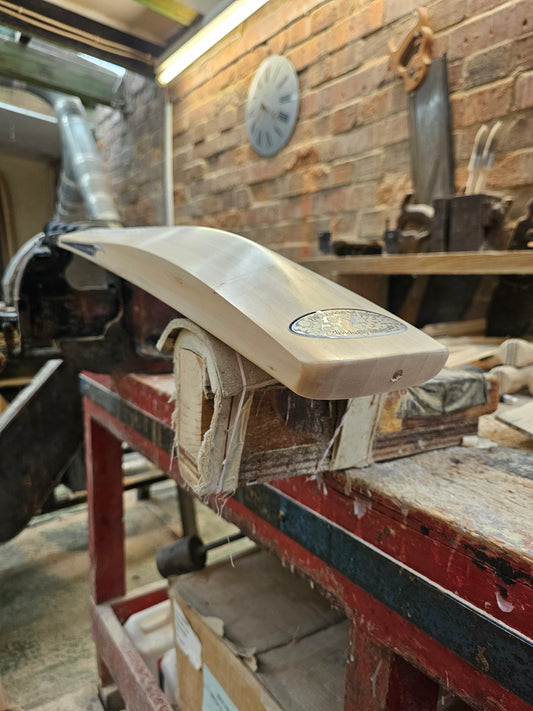 Salix AMP - Alba, WR 2lb 6oz, SH