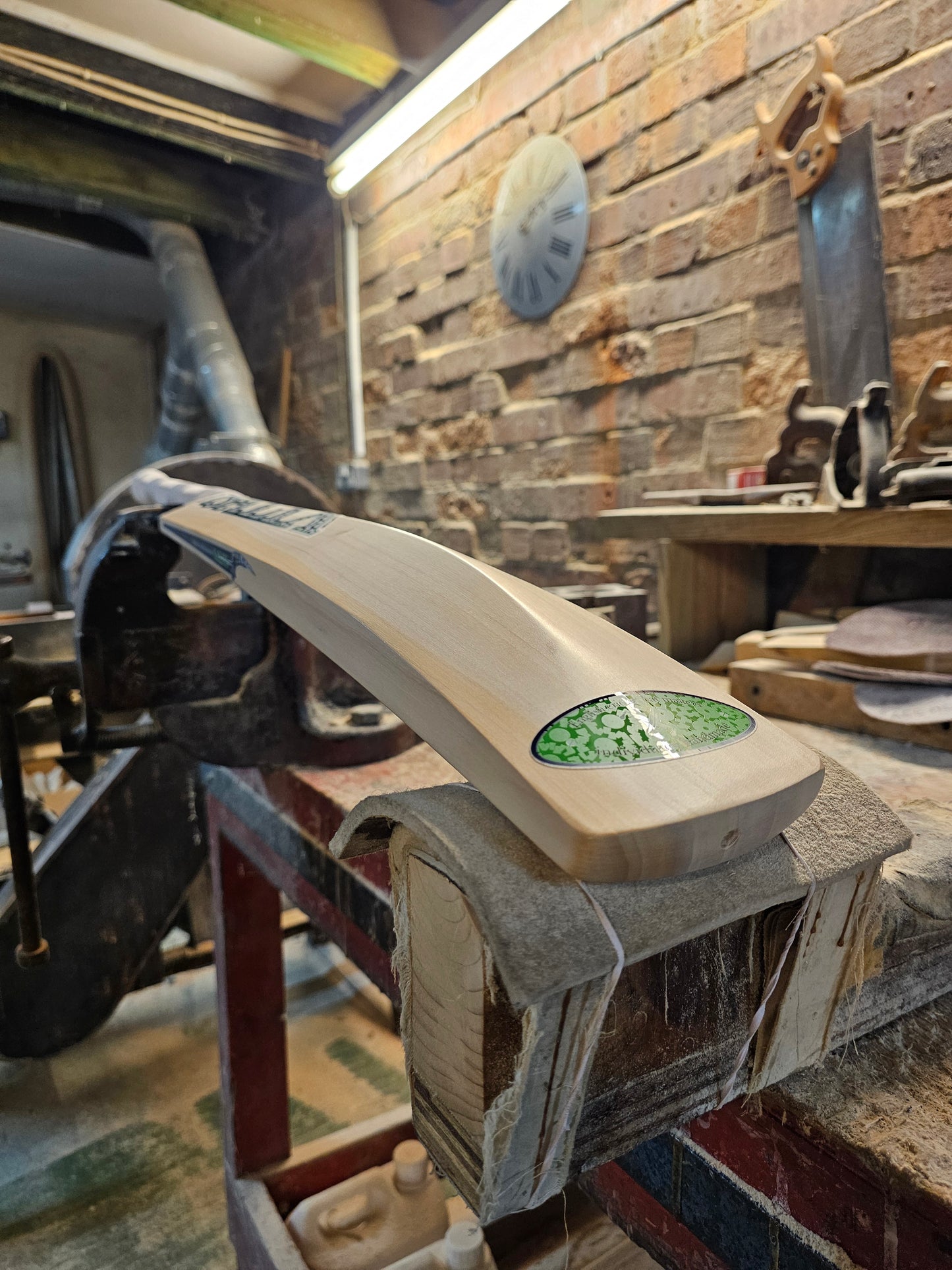 Salix AJK Kashmir - Weight Range 1lb 10 Ounces, Size 5